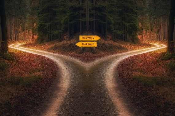 Evaluierung Walddialog und Waldstrategie 2020+ abgeschlossen 