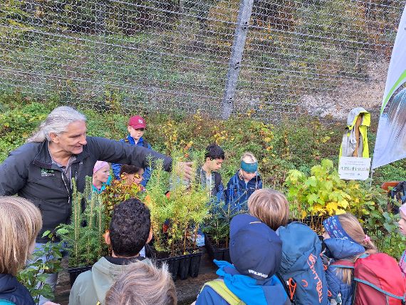 Aufforstungsaktion im FWP Lauffen