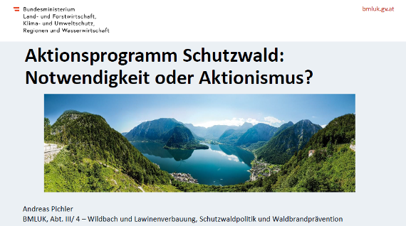 Aktionsprogramm Schutzwald: Notwendigkeit oder Aktionismus?