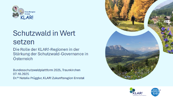 Vortragsfolien: Schutzwald in Wert setzen: Die Rolle der KLAR!-Regionen in der Stärkung der Schutzwald-Governance in Österreich