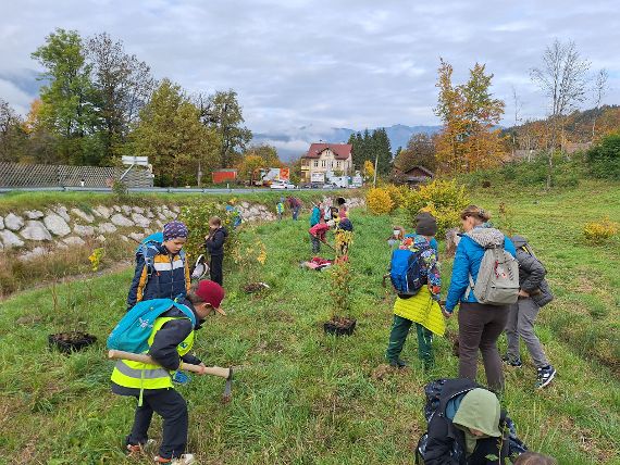 Aufforstungsaktion VS Goisern
