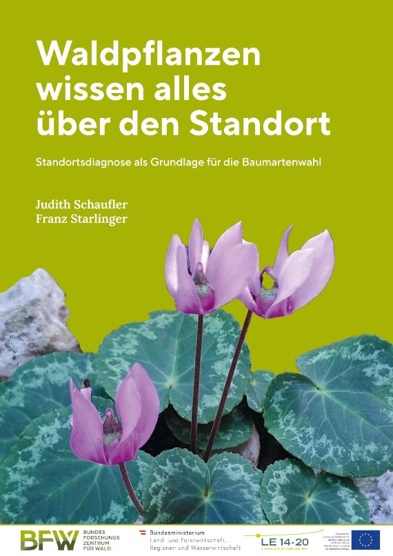 Zeigerpflanzen-Broschüre: Waldpflanzen wissen alles über den Standort