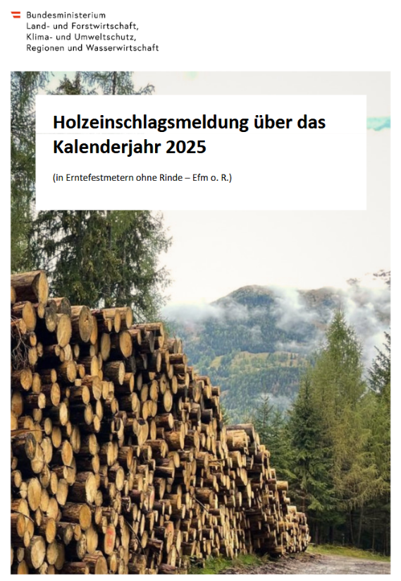 Holzeinschlagsmeldung über das Kalenderjahr 2025 