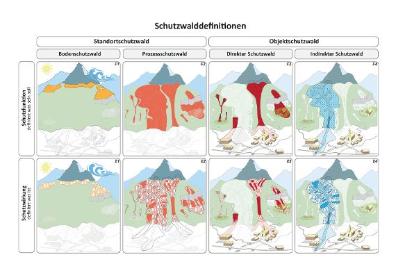 Schutzwald Definition Matrix