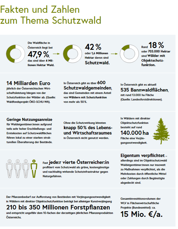 Fakten und Zahlen im Schutzwald