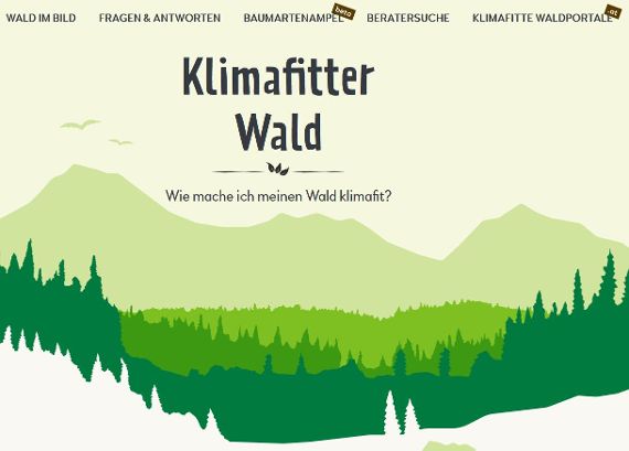 Klimafitter Wald