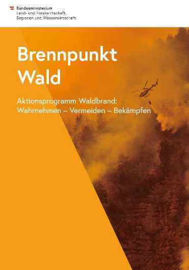 Publikation Brennpunkt Wald