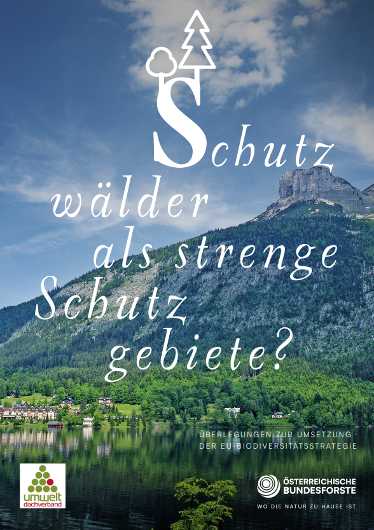 Schutzwaldstudie ÖBf: Schutzwälder als strenge Schutzgebiete? Überlegungen zur Umsetzung der EU-Biodiversitätsstrategie