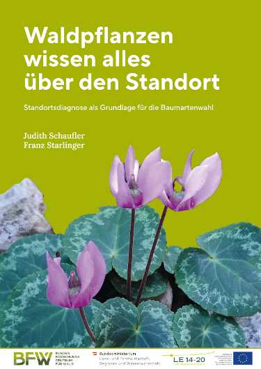 Zeigerpflanzen-Broschüre: Waldpflanzen wissen alles über den Standort