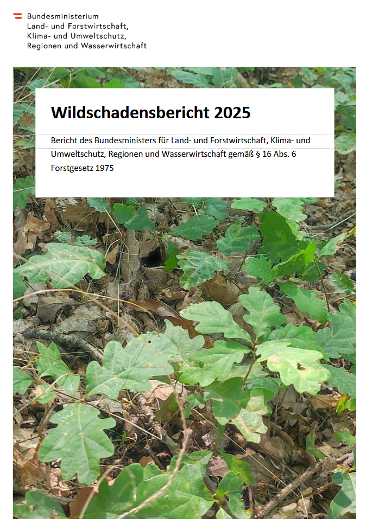 Wildschadensbericht 2025