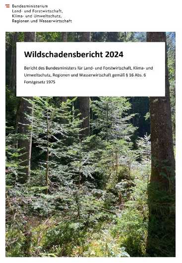 Wildschadensbericht 2024