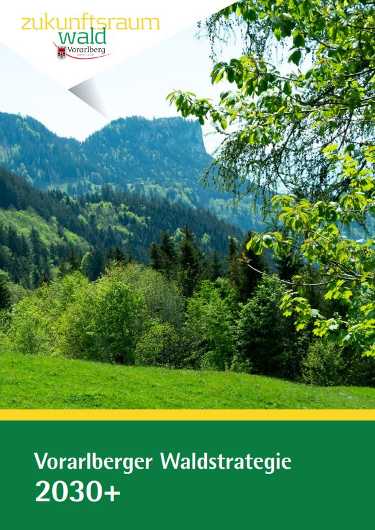 Vorarlberger Waldstrategie 2030+