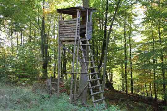 Hochstand im Wald
