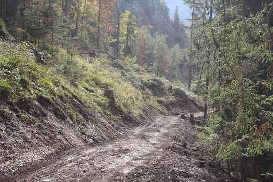 Wegerschließung im Schutzwald