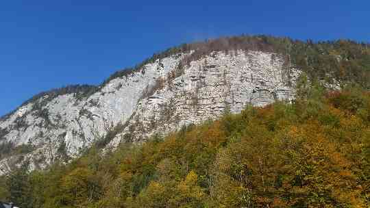 Bannwald Hallstatt