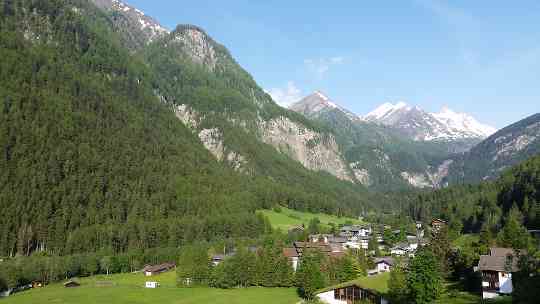 Objektschutzwald vor den Toren von Heiligenblut