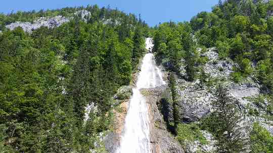 Standortschutzwald und Wasser