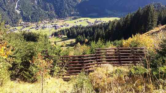 Lawinenverbauung im Schutzwald